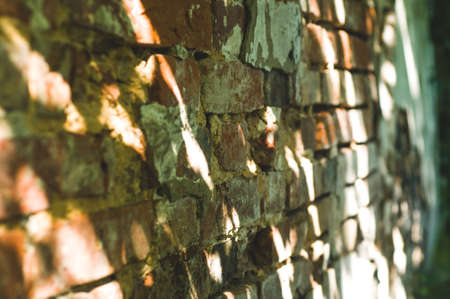 Background of old brick wall in sunlightの写真素材
