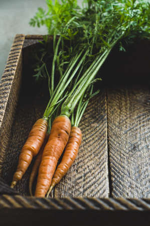 Fresh carrots with leaves on wooden box over grey concrete backgroundの写真素材