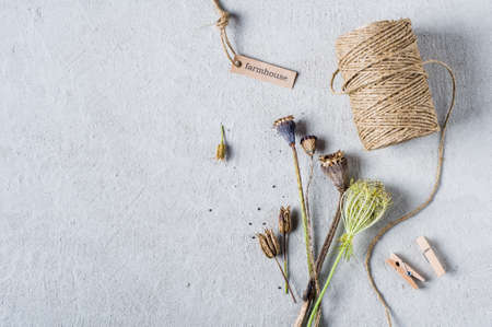 Buds and poppy seeds on a gray concrete backgroundの写真素材