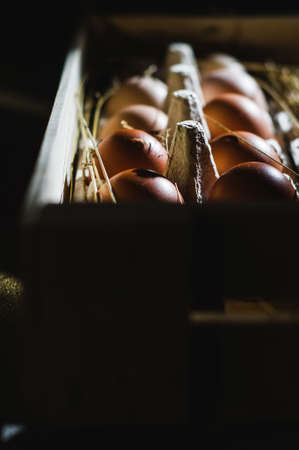 Chicken eggs in a wooden box. Dark style shot