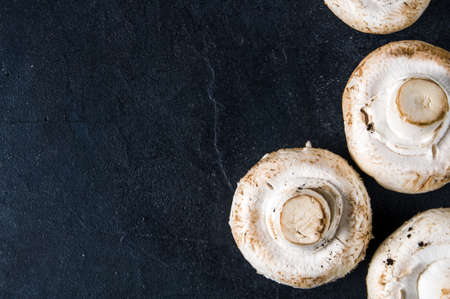 Champignons on dark backgroundの写真素材