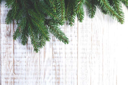 Fir branches on a white background. Christmas decorations
