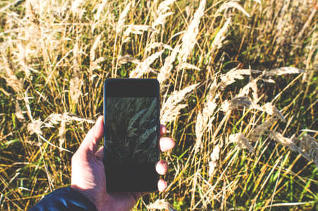 Smartphone in hand. Autumn conceptの写真素材