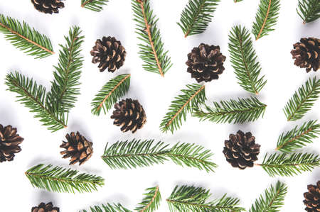 Spruce branches and cones on white background. Christmas patternの写真素材