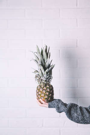 Girl holding a pineapple against a white brick wallの写真素材