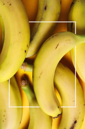 Background of yellow bananasの写真素材