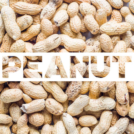 Background of the raw peanutsの写真素材