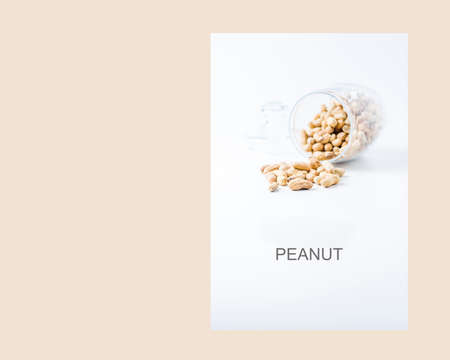 Peanuts in a jar isolated  on white backgroundの写真素材