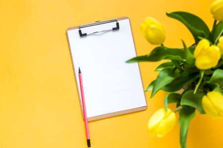 Yellow tulips on yellow background. The concept of spring or women's dayの写真素材
