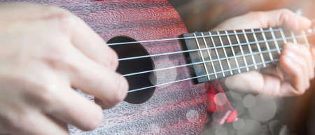 Mahogany ukulele close-up on dark background