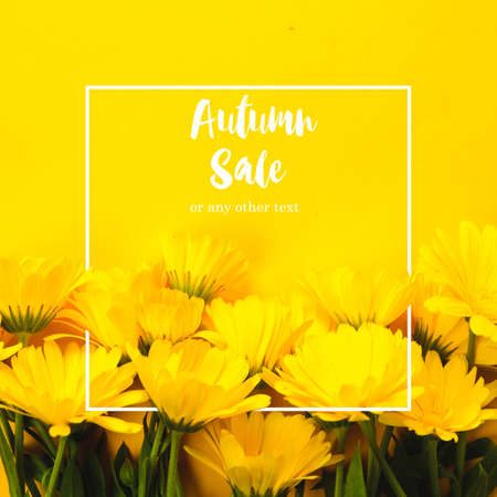 Yellow marigold and text "Autumn sale" on an yellow backgroundの写真素材