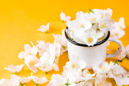 Jasmine flowers in white iron mug on yellow backgroundの写真素材