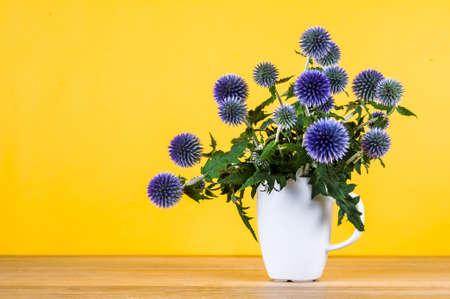 The flowers of eryngium on an yellow backgroundの写真素材