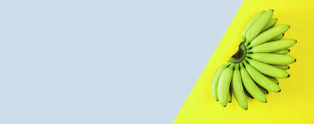 Banana isolated on turquoise-yellow background. Flat lay and top viewの写真素材