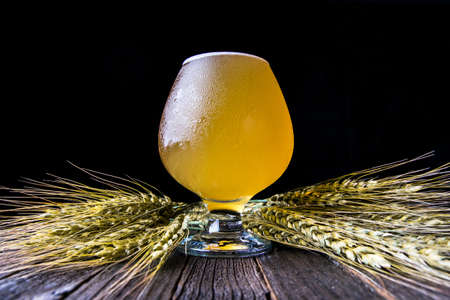 Light beer in a glass and wheat ears on a dark backgroundの写真素材