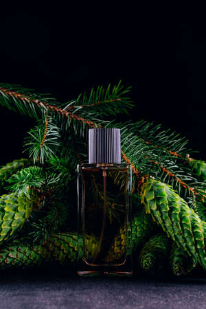 Perfume bottle on the background of pine branches with cones. Smell of Christmas conceptの写真素材