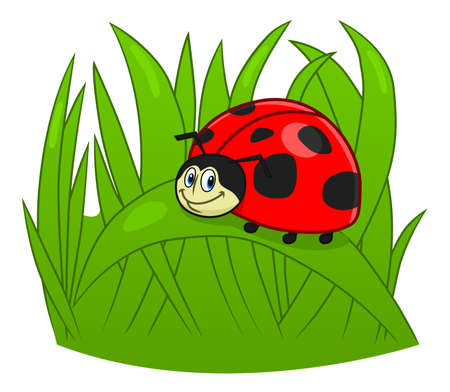 cartoon ladybugのイラスト素材