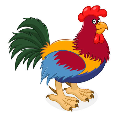 roosterのイラスト素材