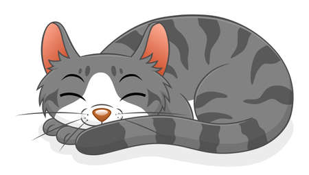 sleeping catのイラスト素材