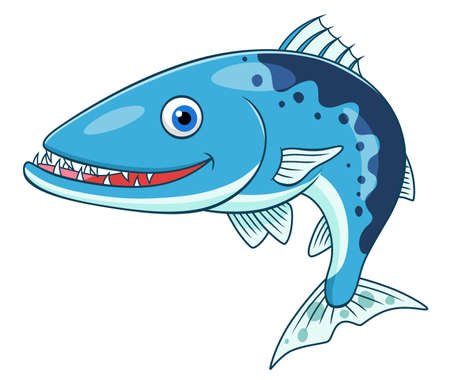 Cartoon cute barracudaのイラスト素材