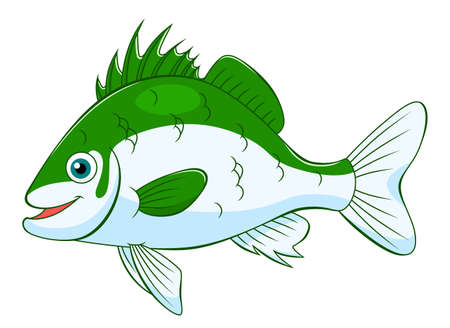 Cartoon cute seabassのイラスト素材