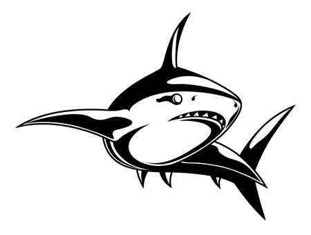 Black and white sharkのイラスト素材