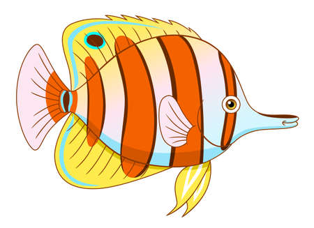 Cartoon cute copperband butterflyfishのイラスト素材