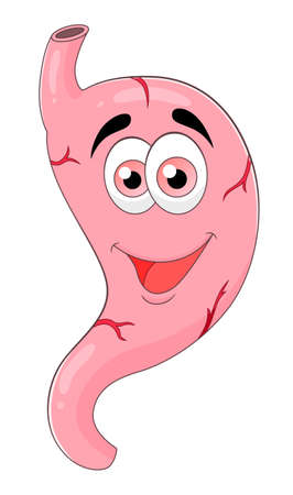 Cartoon cute stomachのイラスト素材