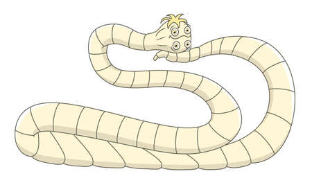 Cartoon pork tapewormのイラスト素材