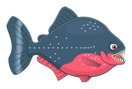 Cartoon piranhaのイラスト素材