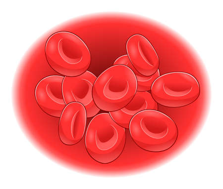 Red blood cell plateletのイラスト素材