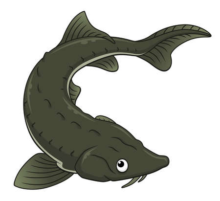Cartoon black sturgeon icon.のイラスト素材