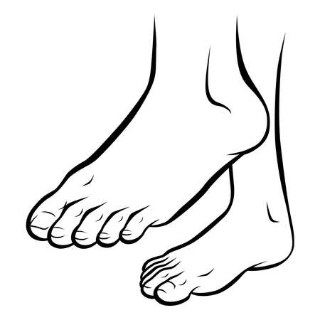 Line art healthy feet illustrationのイラスト素材