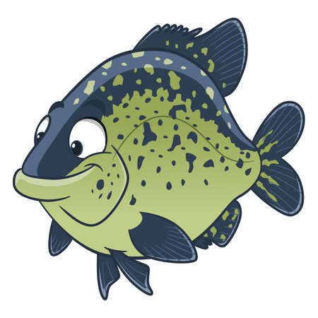 Cartoon black crappie fish. Freshwater fishのイラスト素材