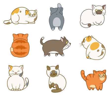 Set of nine cute and funny cats isolated on white backgroundのイラスト素材