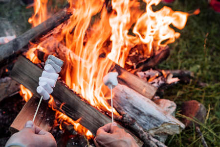 cook marshmallows on a campfire, marshmallows on a stick in your handの写真素材