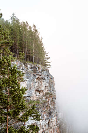 view from the cliff on the fog below, early summer morning, pine forest on the mountain