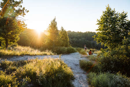 forest path lit by the morning sun at dawn, warm summer day, sun glare, landscape
