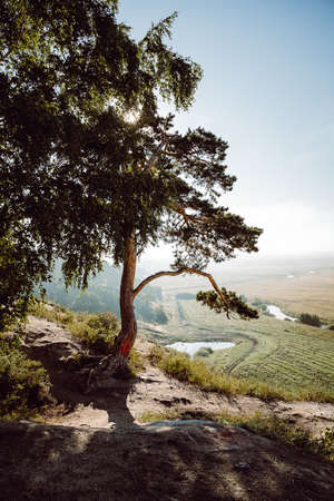 mountain view of the lake in the early morning, nature, fog below, travel in nature, summer...