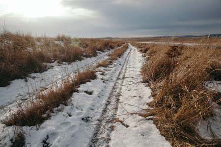 tire tracks in the snow, winter road, empty road in winter goes far to the horizon, covered with...