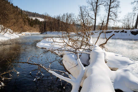 A tree covered with snow lies near the shore of a lake that does not freeze in winter, everything is covered with pure snow from which the bright rays of the sun are reflected. High quality photoの写真素材