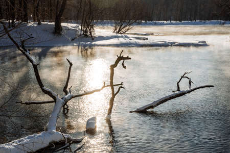 A view of a winter unwalked lake and a tree sticking out of the water on a sunny day. High quality photoの写真素材