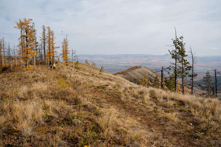 Panoramic view from the mountains to the surroundings, autumn landscape and golden forest, dark clouds overhead. A group of tourists walks to the top of the mountain. High quality photoの写真素材