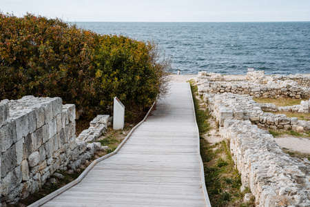 Seascape. Descent to the sea. Wooden descent going to the very edge of the shore. Tides, sea waves. Green coastline.の写真素材
