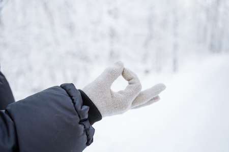 Hands in gloves against the background of the winter forest. Winter is coming. A walk in a snowy white grove. Frosty wind, frozen handsの写真素材