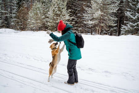 A girl plays with a red dog in a winter forest. A walk in the woods with your pet. A dog is a friend...