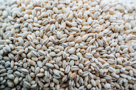 Pearl barley top view. white cereal. pearl barley grains. high quality photo