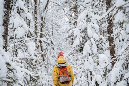 brave traveller. hiking backpack on the back of the traveler. Snowy forest and rocks. Climbing the...