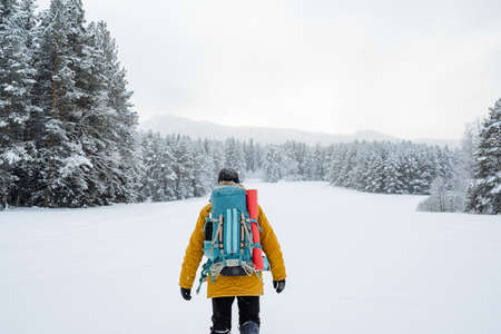 brave traveller. hiking backpack on the back of the traveler. Snowy forest and rocks. Climbing the...