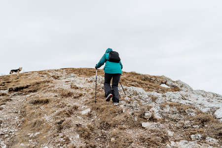 The girl walks along the trail climbs the mountain using walking poles, training in the mountains, Nordic walking, spring hiking in nature. high quality photoの写真素材